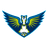 Dallas Wings