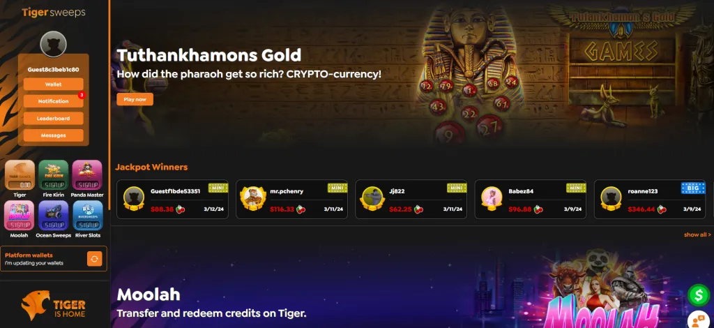 Tiger Is Home Casino