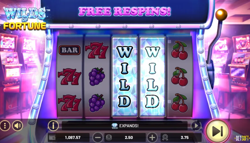 Wilds Of Fortune Sweepstakes Slot